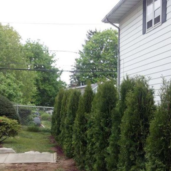 Meet your Posher, Deb - Picture 1 of 1